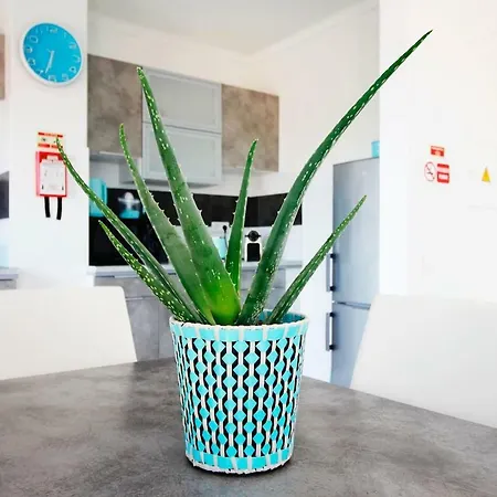 Riamar - Da Vagueira Gafanha da Vagueira